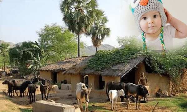 Beautiful Village Nature Photo Frames Application screenshot 6