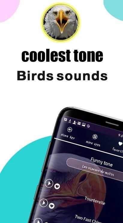 most beautiful bird tones 2020 screenshot 6