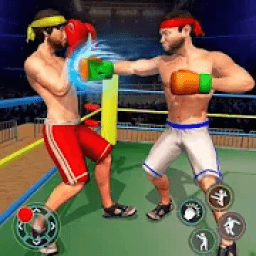 Mega Ring Fighting 2020 आइकन