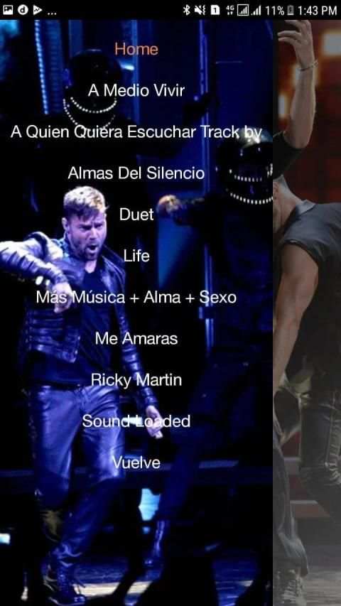 Songs of Ricky Martin screenshot 3