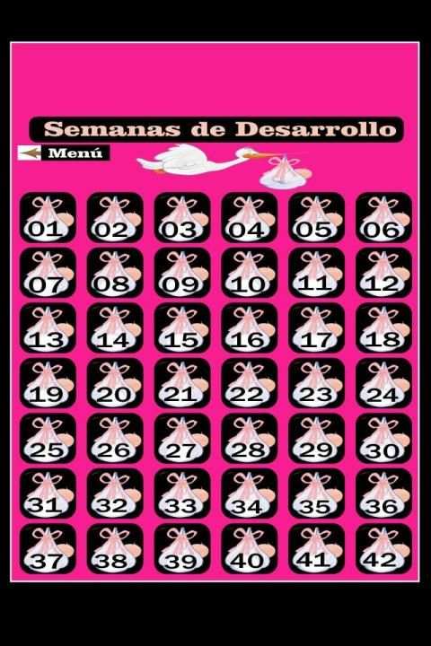 Embarazo - Semana por Semana screenshot 5