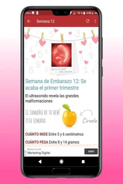 Embarazo Semana a Semana स्क्रीनशॉट 6
