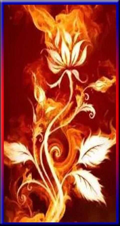 Fire Wallpaper Free HD screenshot 5