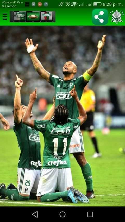 Palmeiras Wallpapers screenshot 2