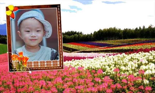 Awesome Garden Frame Photo application screenshot 1