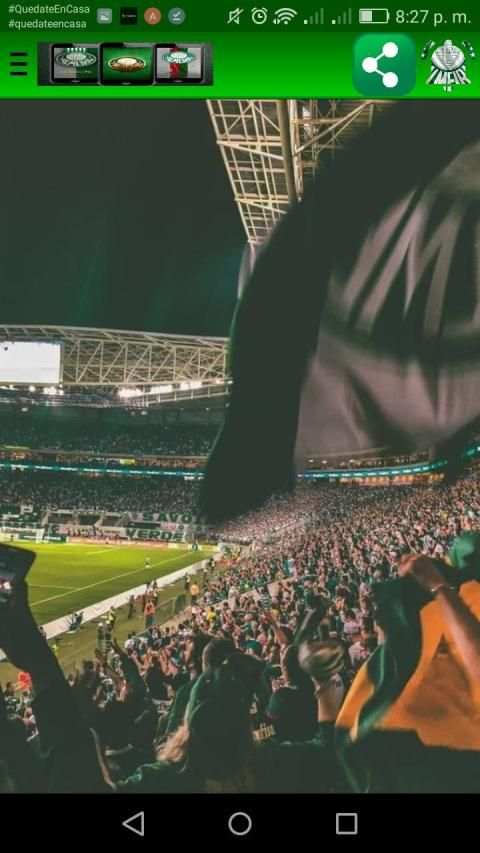 Palmeiras Wallpapers screenshot 5
