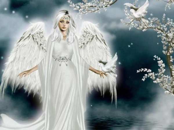 Angels Wallpapers स्क्रीनशॉट 7