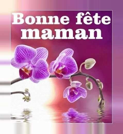 Bonne Fête des Mères screenshot 10