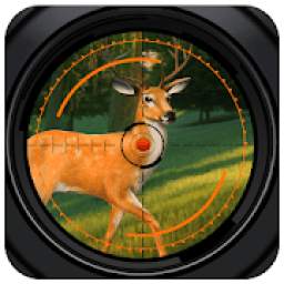 Wild Hunting 3D 2020 : Animals Shooting Games 2020
