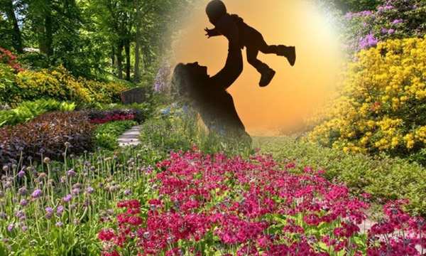 Beautiful Photo Frame Garden Photo Frame app screenshot 15