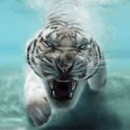 Tiger Live Wallpaper आइकन
