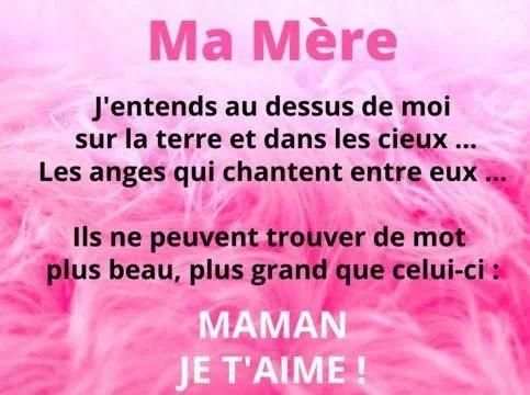 Bonne Fête des Mères screenshot 2