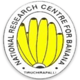 Banana Production Technology आइकन