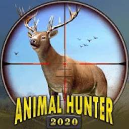 Deer Hunting Animal Shooting Free Game