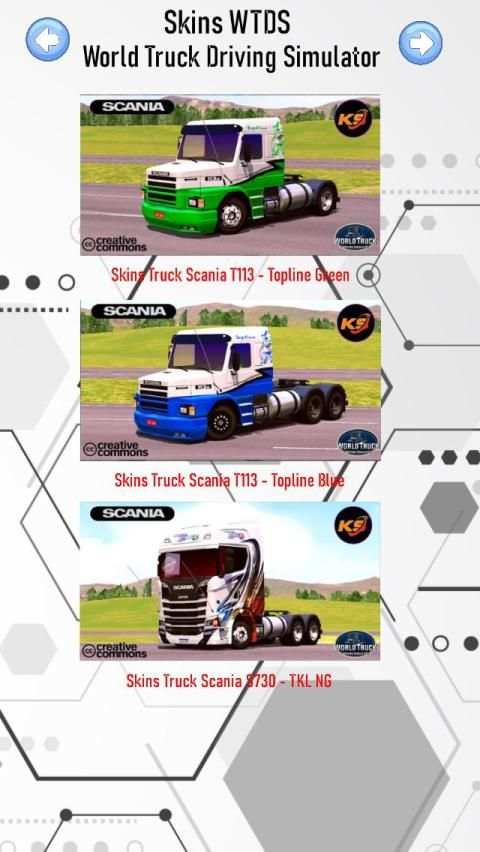 Skins WTDS - World Truck Driving Simulator screenshot 4