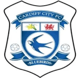 CARDIFF FIXED DRAWS आइकन