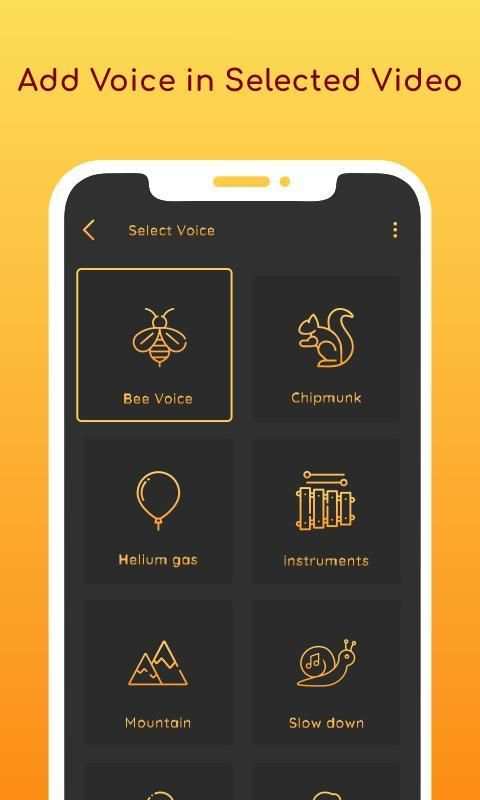 Video Voice Changer screenshot 2