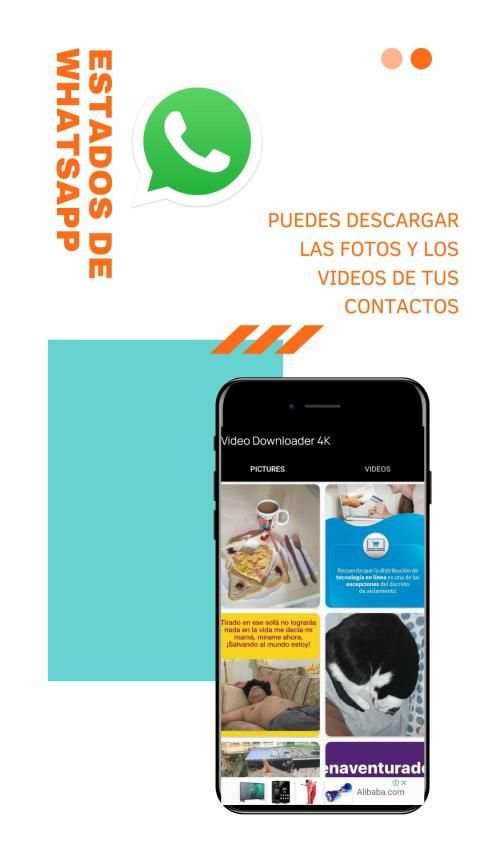Guardar Estados para Todo 2020 ✮ WA, FB, INSTA,TIK screenshot 13