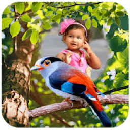 ikon Birds Photo Frames