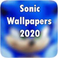 Hedgehog Wallpaper son Full HD on 9Apps