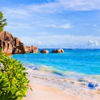 1100 words of riddles.