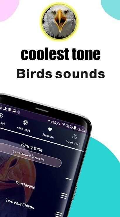 most beautiful bird tones 2020 screenshot 5
