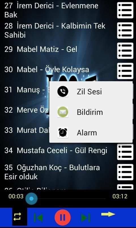 Türkçe Pop Müzik internetsiz 2019 (61 şarkı) screenshot 2