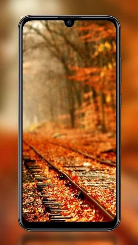 4k HD Natural wallpaper screenshot 3