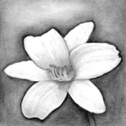 ikon drawing technique