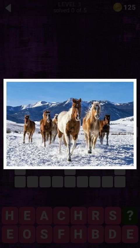 160 Photo Crosswords screenshot 4
