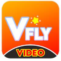 Vfly Video Guide Magic Effects Video