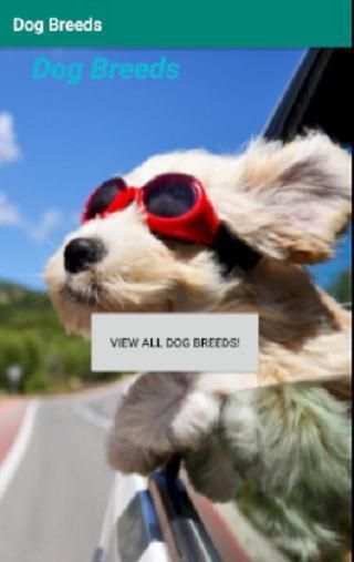Dog Breeds screenshot 3