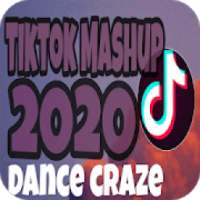 Tiktok Mashup 2020 (dance craze) offline