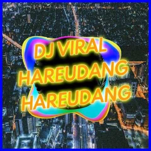 DJ Haredang Haredang MP3 Offline screenshot 3