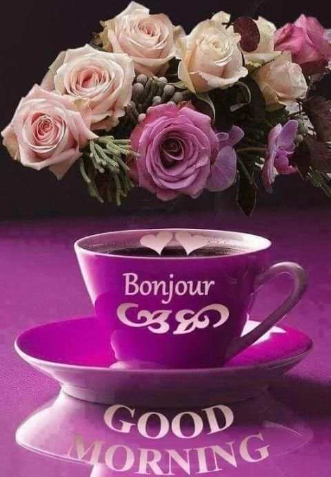 BONJOUR! screenshot 9