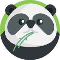 Panda City - Animal Quiz Game
