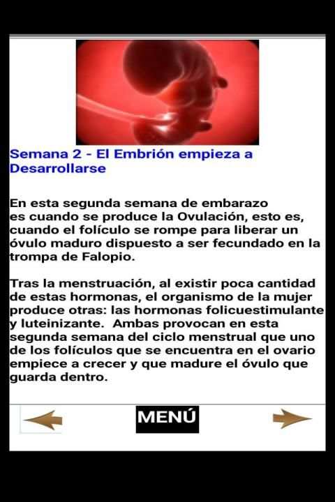 Embarazo - Semana por Semana screenshot 3