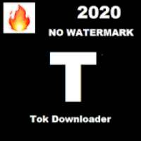 TikTok 2020 Video Downloader Without Watermark