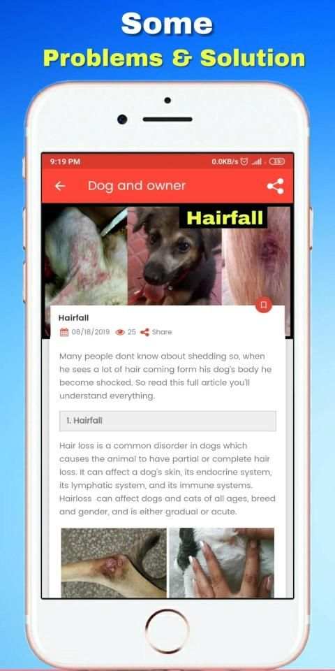 Dog and owner : Breed info , News , Diet , fact स्क्रीनशॉट 6