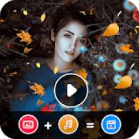 Animation Effect Video Maker With Music