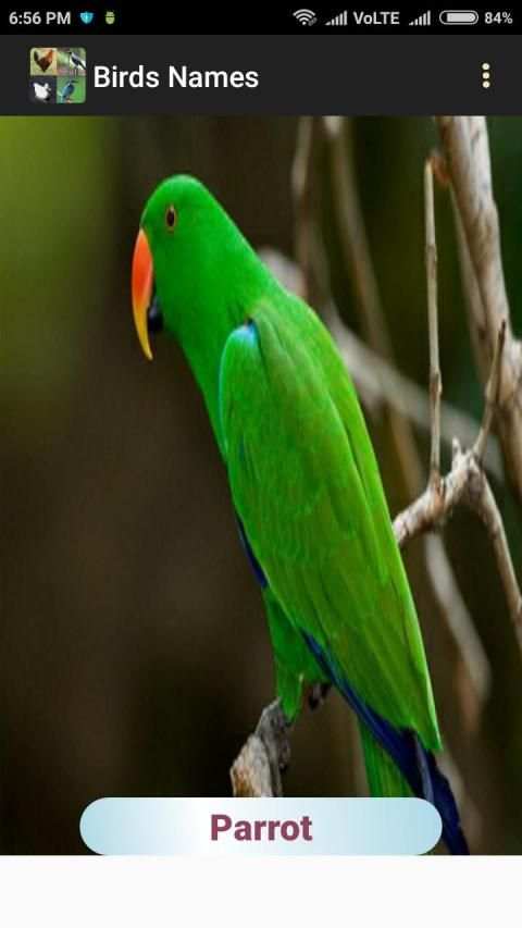 Birds Names स्क्रीनशॉट 1