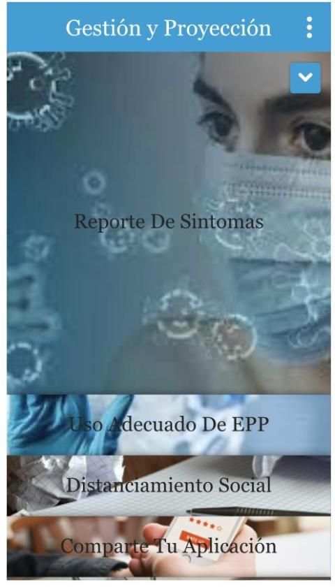 Gestión y Proyección SAS screenshot 2