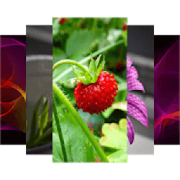 HDs Wallpaper 50k आइकन