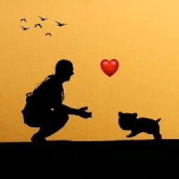 Dog and owner : Breed info , News , Diet , fact आइकन