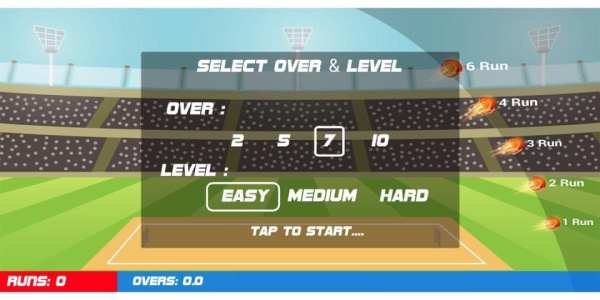 Box Cricket 2D : Cricket Game screenshot 4