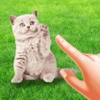 Kittens Evolution - Merge & Clicker