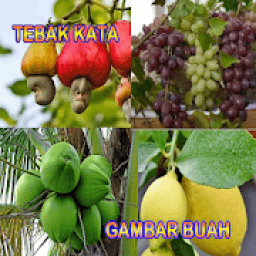 Tebak Gambar Buah icon