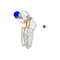 2020 CRICKET QUIZ GAME-TEST YOUR CRICKET KNOWLEDGE आइकन