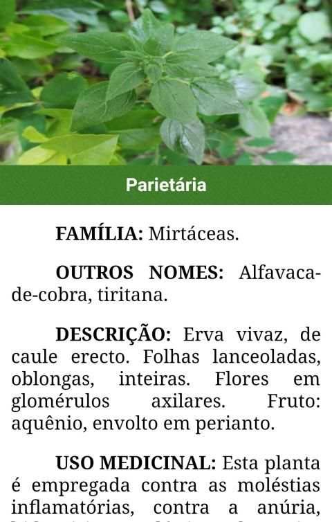 Plantas Medicinais e seus usos screenshot 4