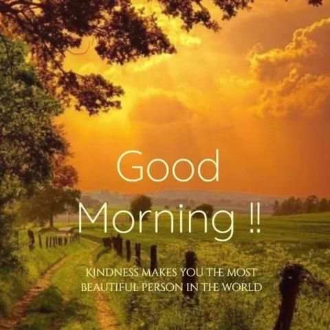 Good Morning Images APP - GOOD Morning Flowers स्क्रीनशॉट 6